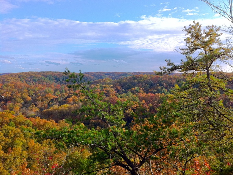 Natural Bridge State Park